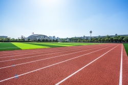 塑胶跑道材料大揭秘：分类与特点