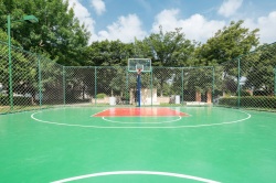 硅 PU 材料价格大揭秘：一公斤究竟多少钱？