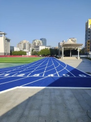 混合型塑胶跑道价格大揭秘：影响因素全解析