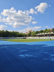 揭秘最受欢迎的塑胶跑道颜色