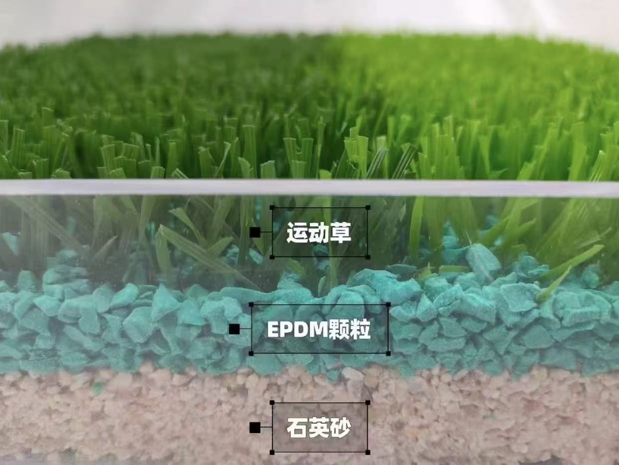 人造草坪中为何要添加橡胶颗粒?