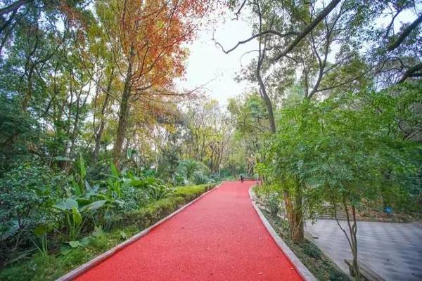 小区塑胶跑道日常走路、健身，哪种材质脚感更舒适？